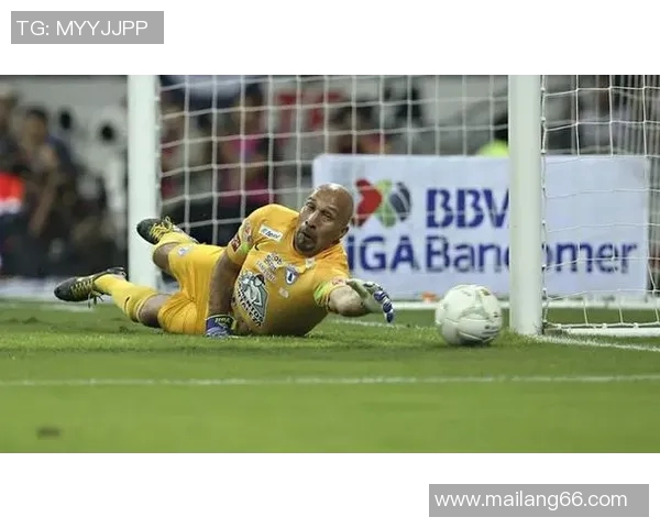 足球明星身高偏低的现象分析及其对职业生涯的影响探讨