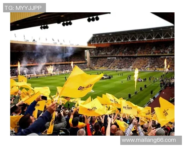 足球明星代言的广告背后故事与品牌合作的成功案例分析